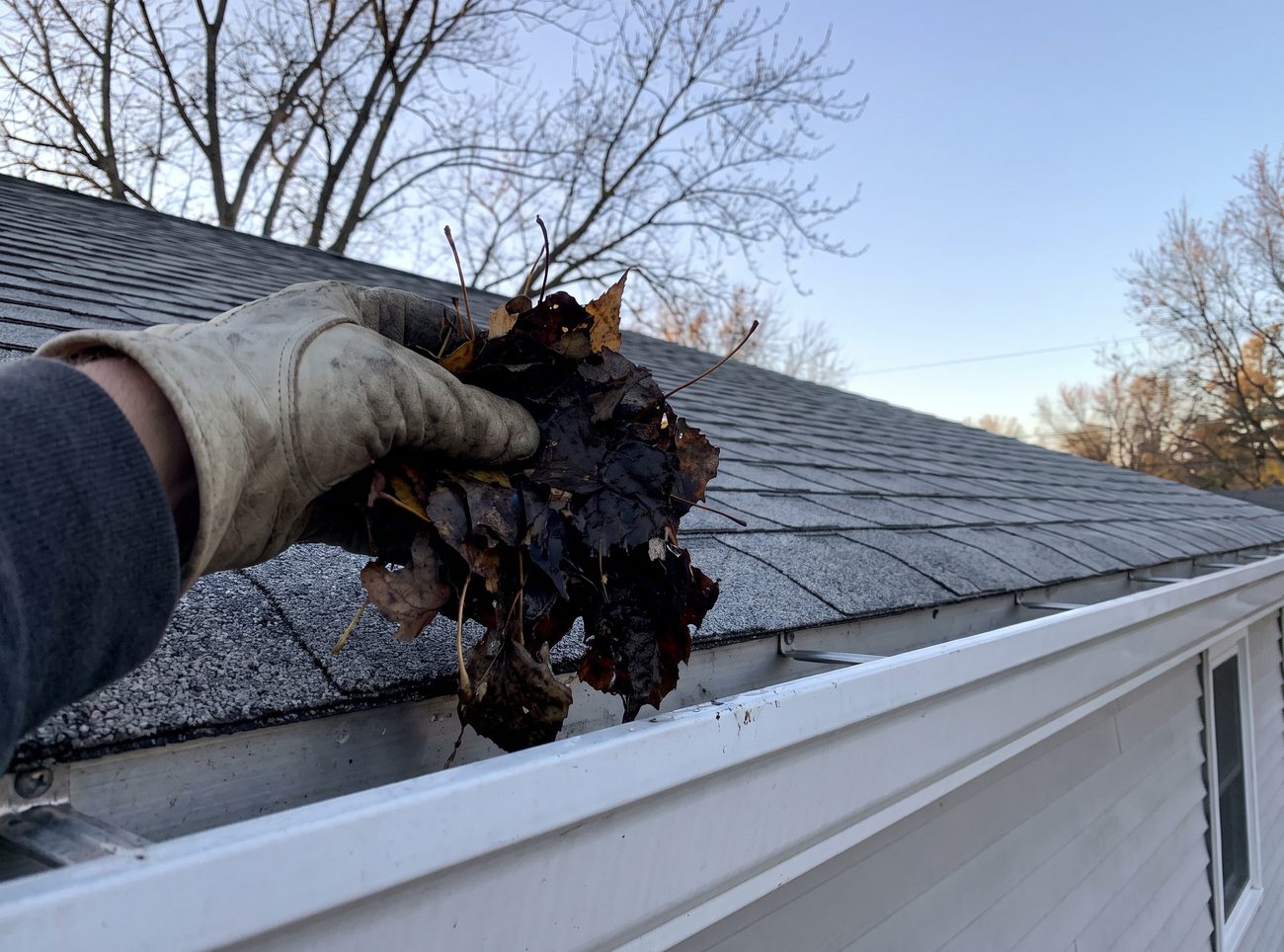 Gloved hand lifting wet leaf debris out of an aluminium gutter along the edge of an asphalt shingle roof